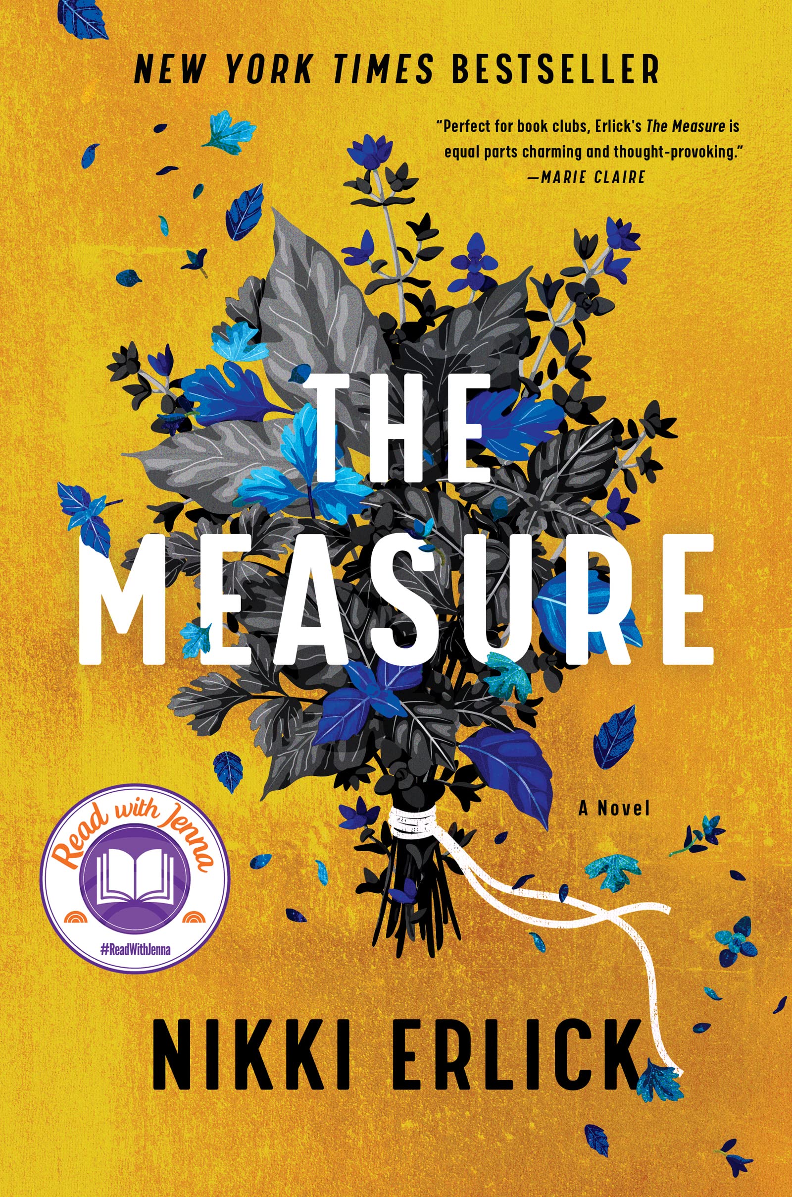 book cover for the measure
