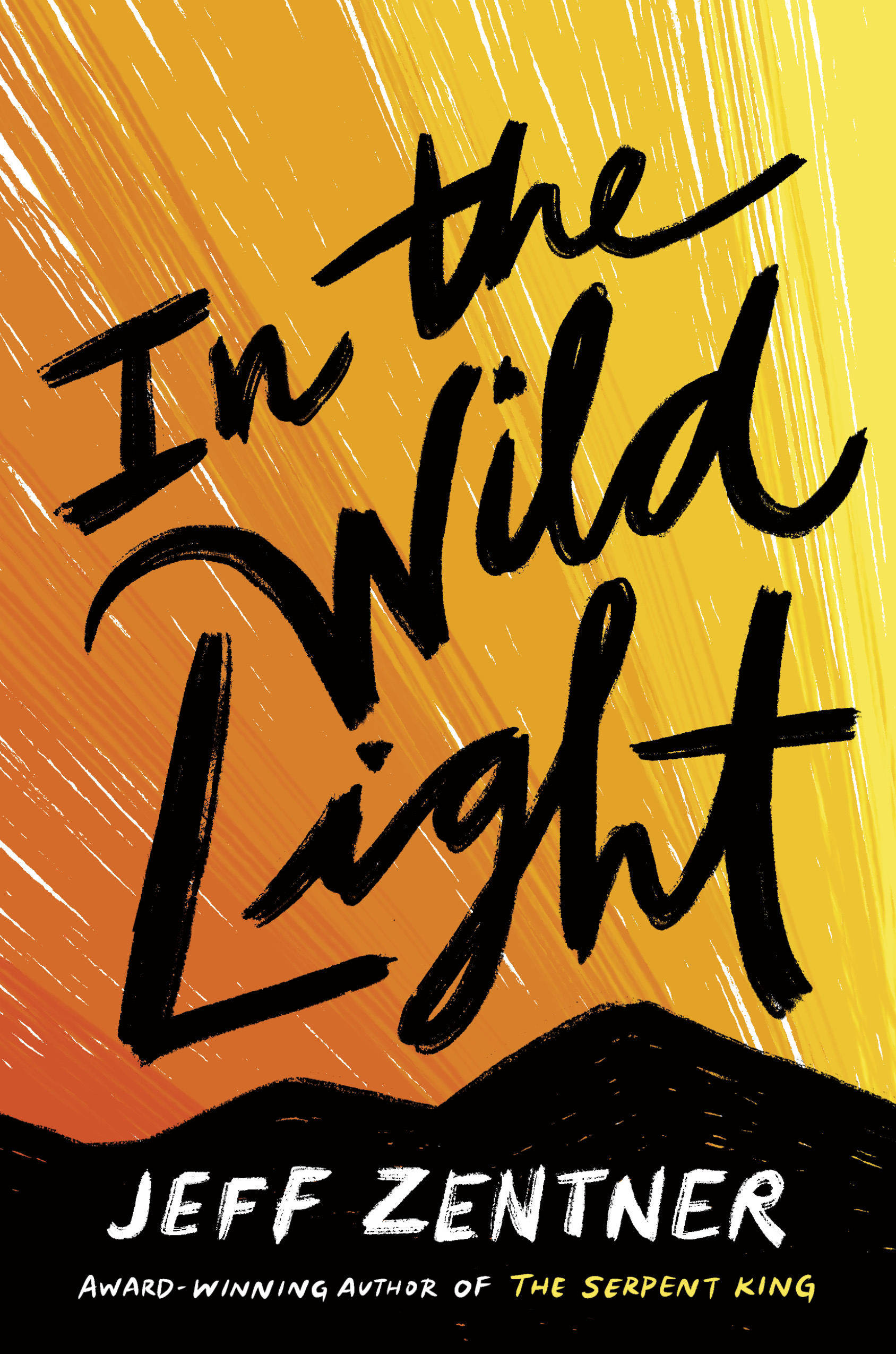 in the wild light by jeff zentner book cover