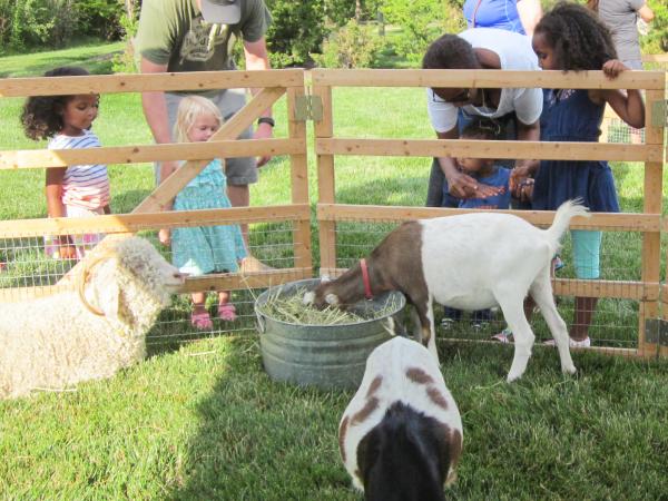Bring the Farm to You has goats, chickens, ducks and more